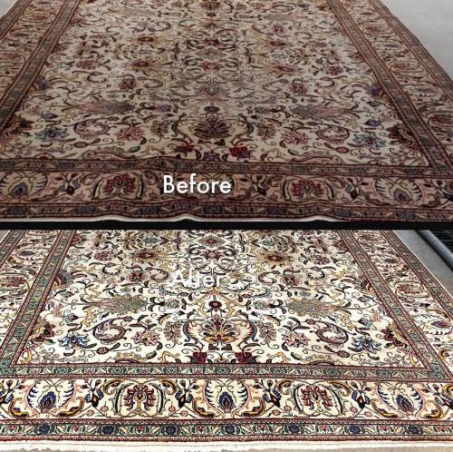 before-after-carpet-cleaning-2